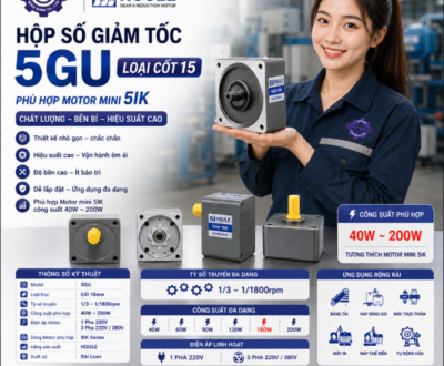Motor hộp số mini (2)